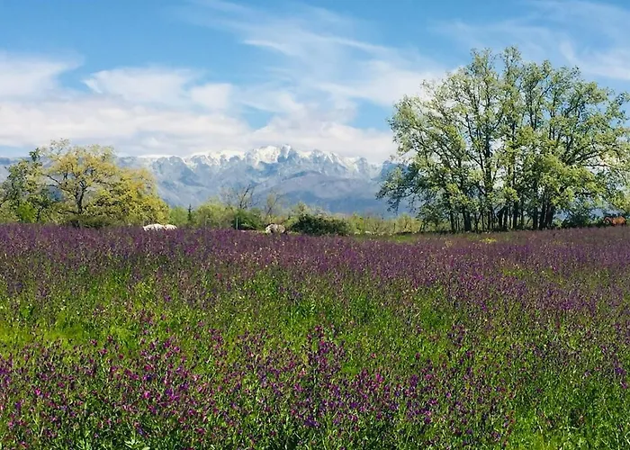El Arrabal En La Vera *
